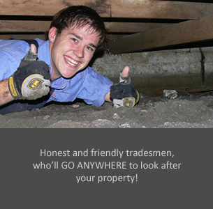 choose-a-termite-guy Honest and Friendly Tradesmen, who'll GO ANYWHERE to look after your property