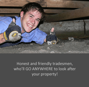 choose-a-termite-guy Termite Guys Honest and Friendly Tradesmen