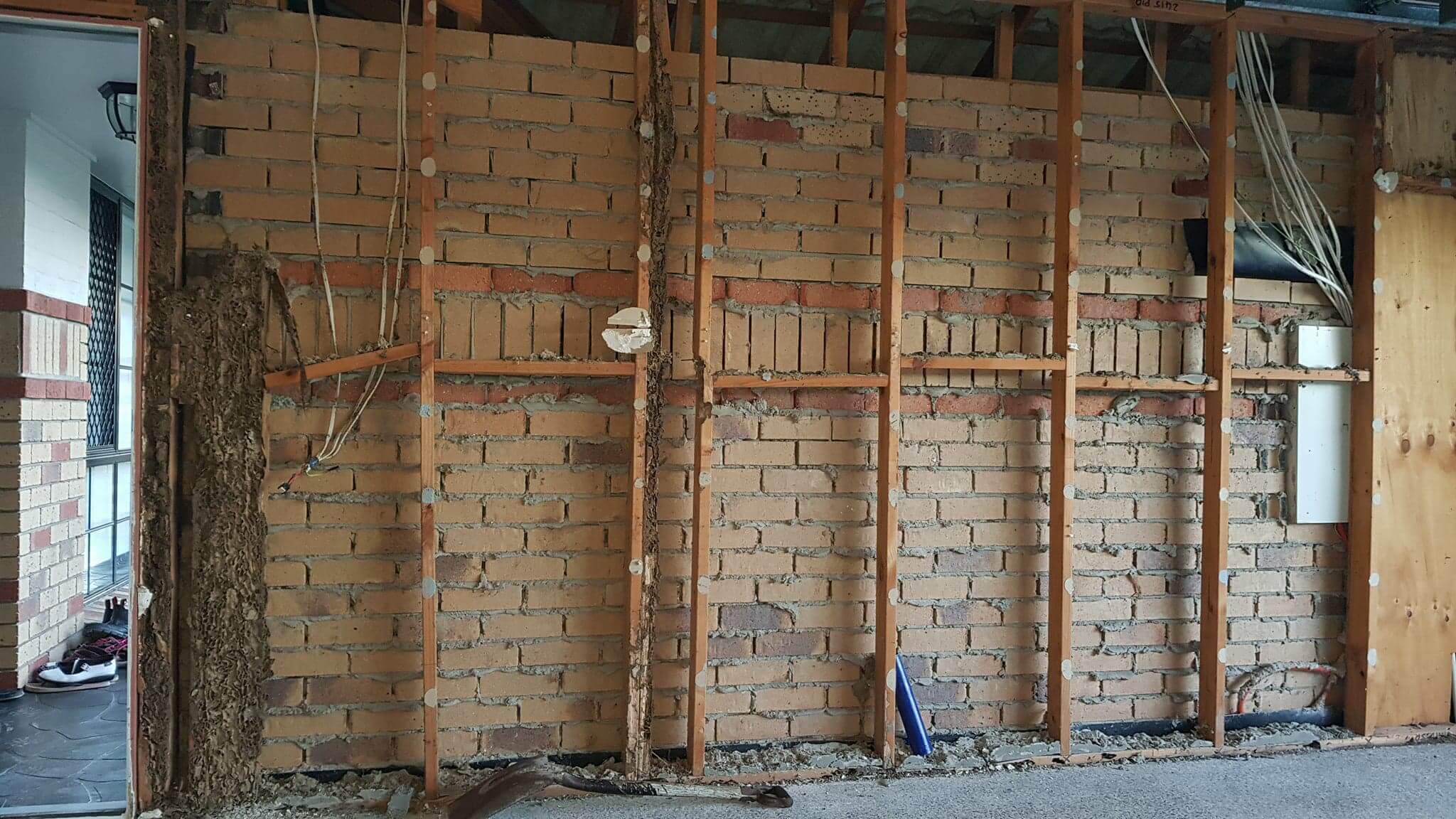 Termites in Forest Lake