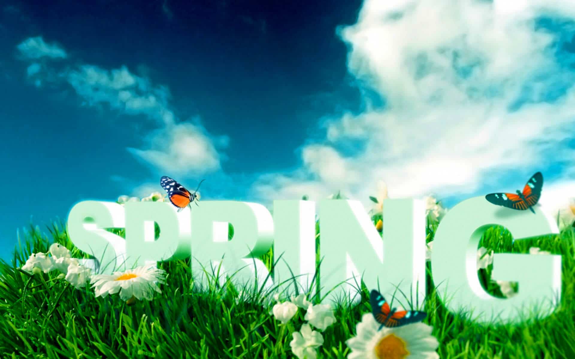 Protect your house from termites during the spring season.
