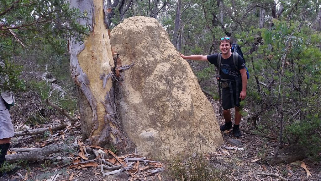 Termite Inspired - Michael inspecting a massive termite mound.